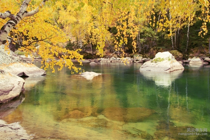 IMG_6485 -_副本.JPG