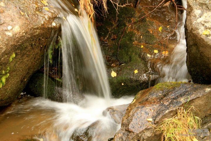 IMG_6520 -_副本.JPG