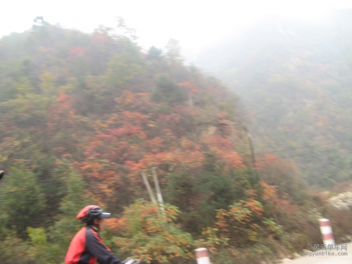 骑游 178.jpg