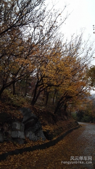 IMG_20151108_104334.jpg