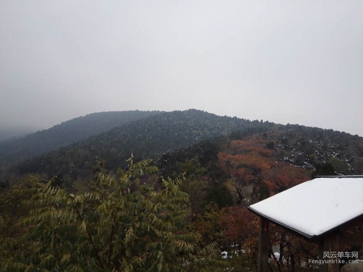 IMG_20151108_111720.jpg