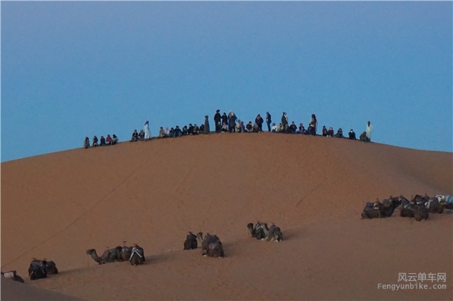 DSC06215 - 副本 (2).jpg