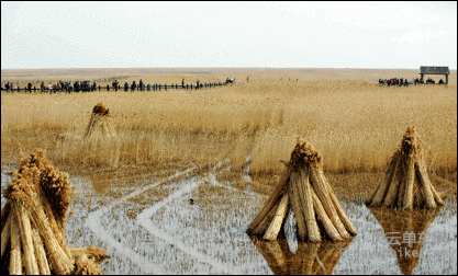image012.gif