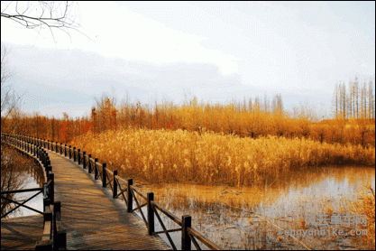 image024.gif