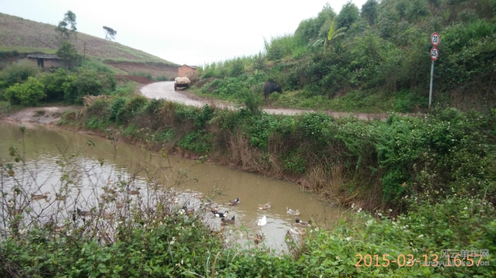 小雨中的乡村