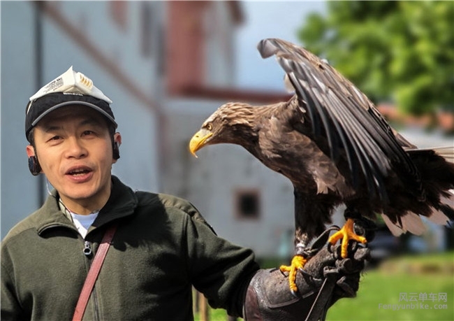 未标题-1xunying2 - 副本.jpg