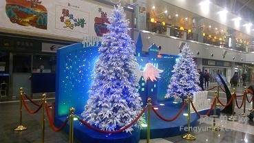 圣诞的气氛还没散去