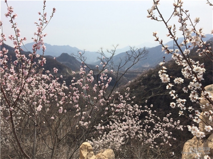 IMG_1760_副本_副本_副本 - 副本 - 副本.jpg