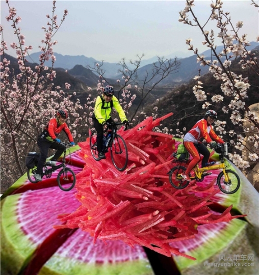 IMG_1874-2_副本 - 副本.jpg