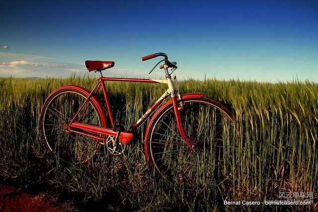 By Bernat Casero.jpg