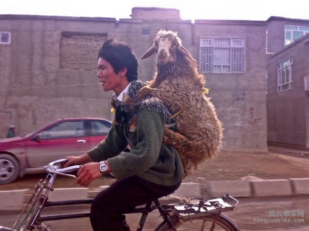 By Peretz Partensky – sorry “what!” I had to share this one, too funny.jpg