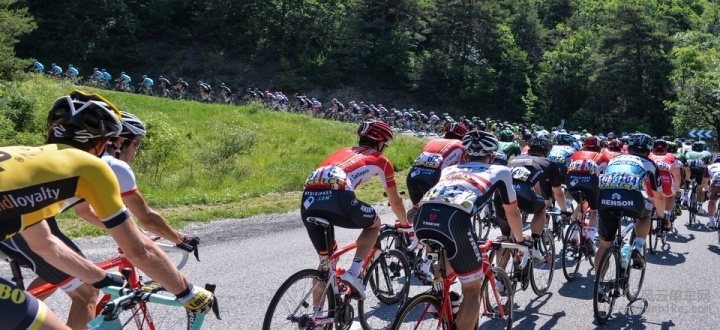 201601197_20150611CDD1036 (1).jpg