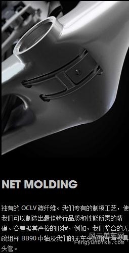 NET MOLDING.jpg