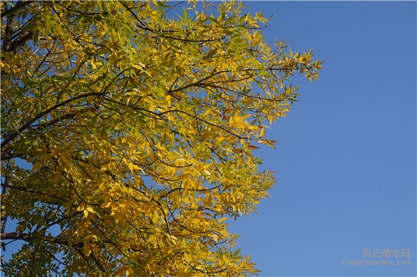 DSC00032.jpg