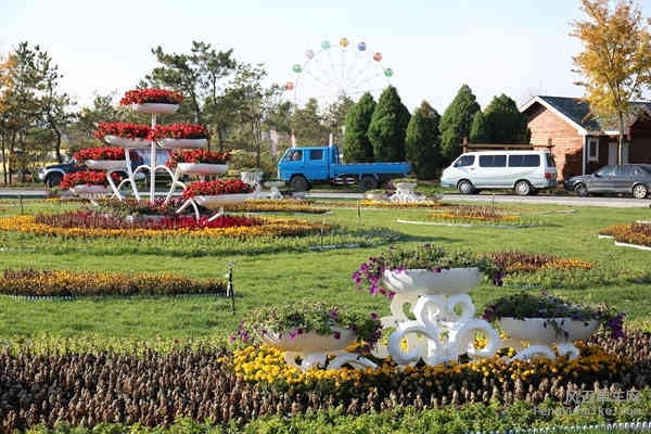 5D-161029 092731.jpg