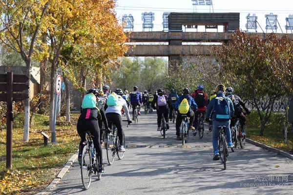 5D-161029 100100.jpg