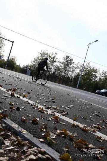 5D-161029 104157.jpg