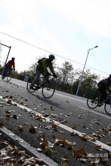 5D-161029 104158.jpg