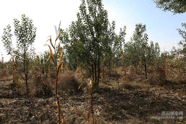 5D-161029 105834.jpg