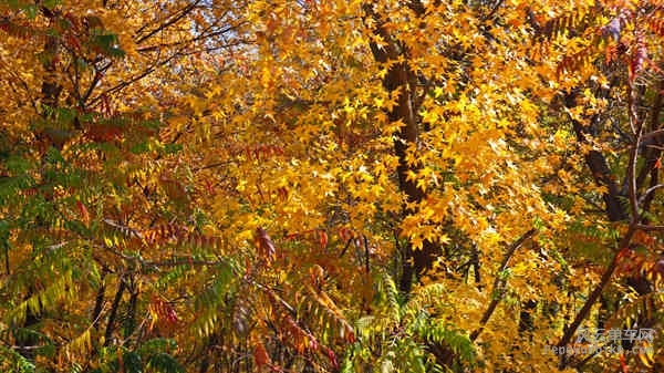 5D-161029 112627.jpg