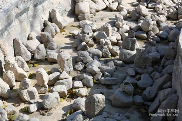 5D-161029 115627.jpg