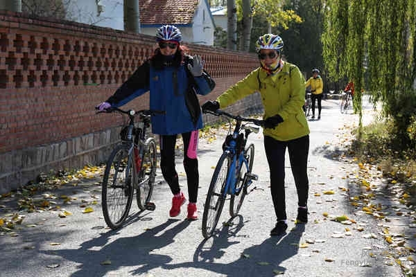 5D-161029 120019.jpg