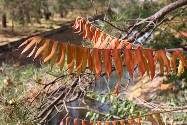 5D-161029 120352.jpg