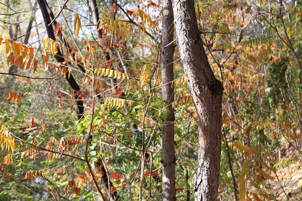 5D-161029 120339.jpg