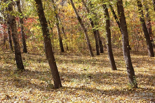 5D-161029 120641.jpg