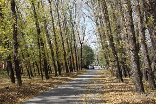 5D-161029 120506.jpg