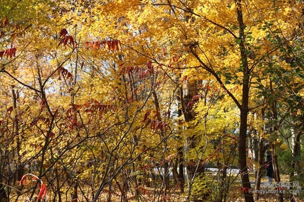 5D-161029 120837.jpg