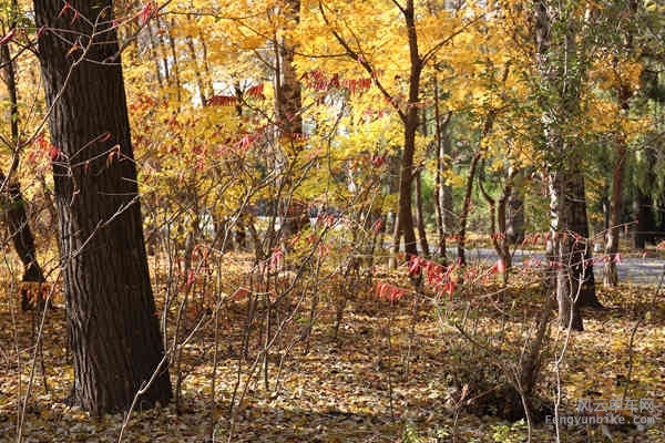 5D-161029 120709.jpg