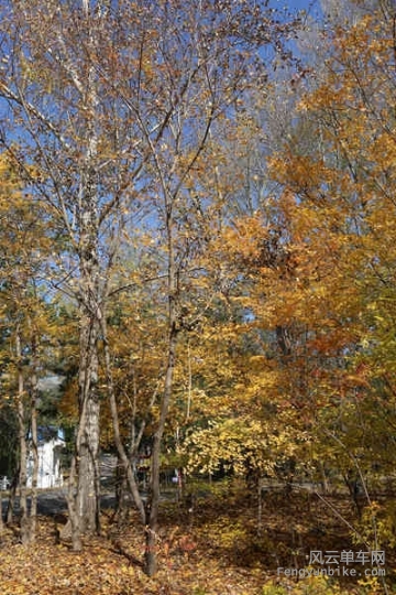 5D-161029 121218.jpg