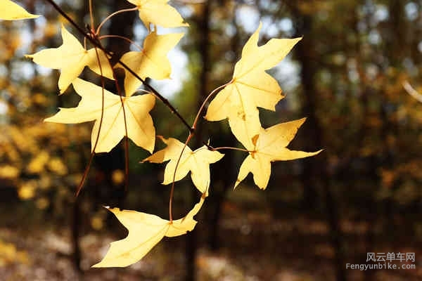 5D-161029 121023.jpg