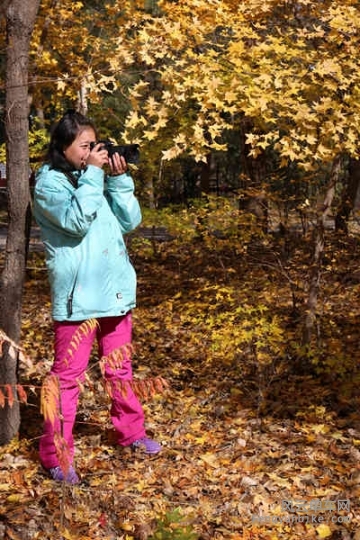 5D-161029 121303.jpg