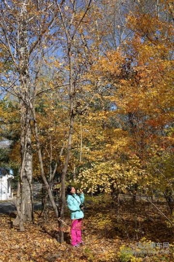 5D-161029 121240.jpg