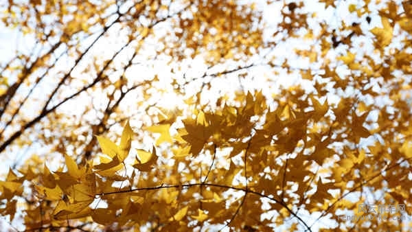 5D-161029 121649.jpg