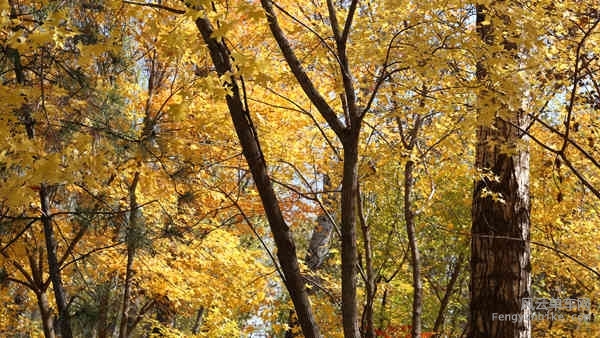 5D-161029 121613.jpg