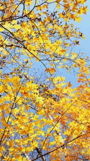 5D-161029 121719.jpg