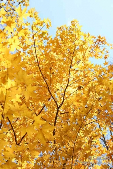 5D-161029 121941.jpg