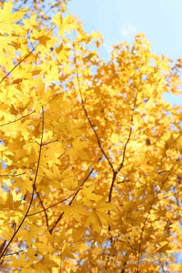 5D-161029 121938.jpg