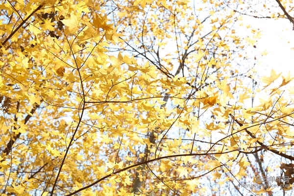 5D-161029 121902.jpg