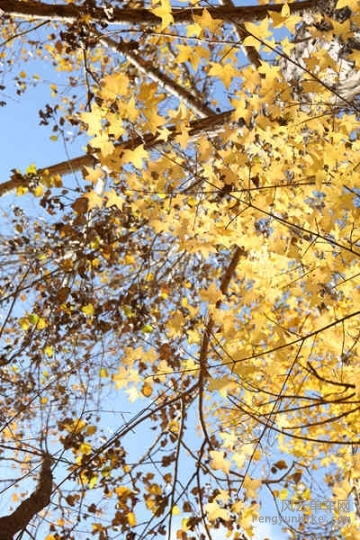 5D-161029 121844.jpg