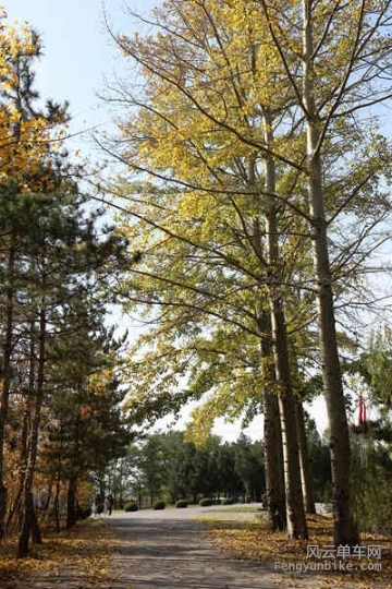 5D-161029 122002.jpg