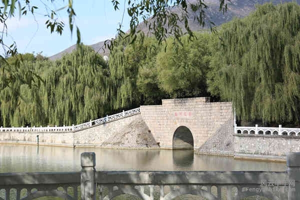 5D-161029 122020.jpg