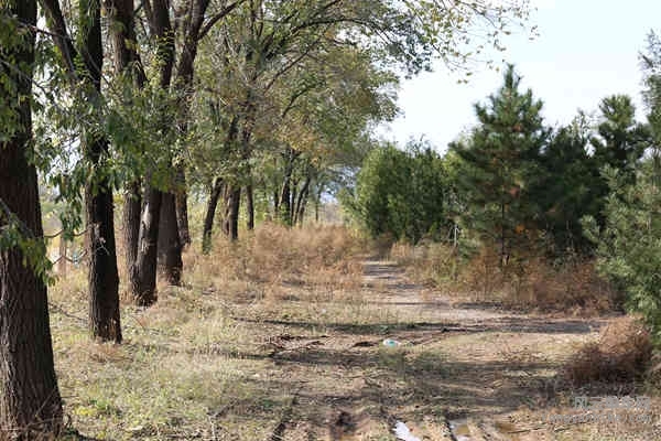 5D-161029 122932.jpg