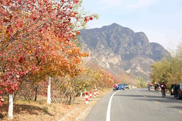 5D-161029 131001.jpg