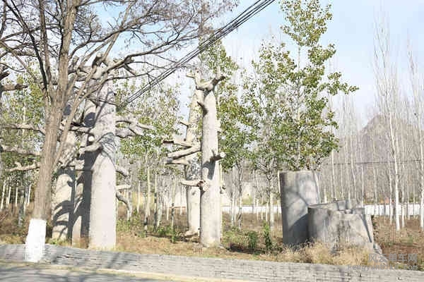 5D-161029 133628.jpg