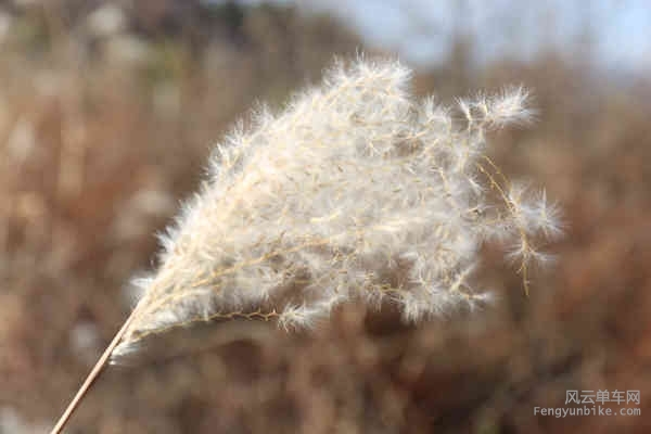 5D-161029 142131.jpg