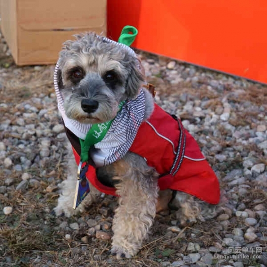 5D-161029 163313.jpg